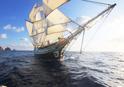 Florette Sailing from the bows