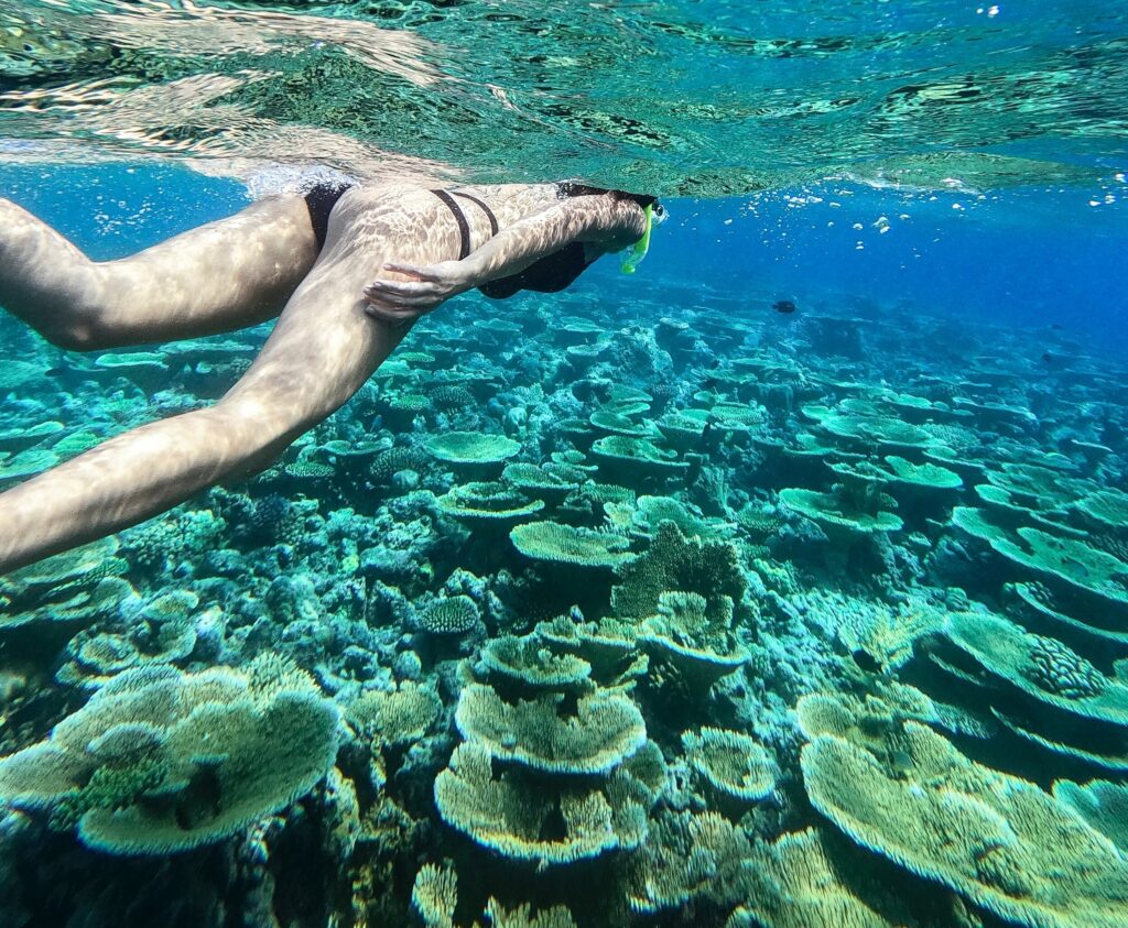 Snorkelling in the Caribbean