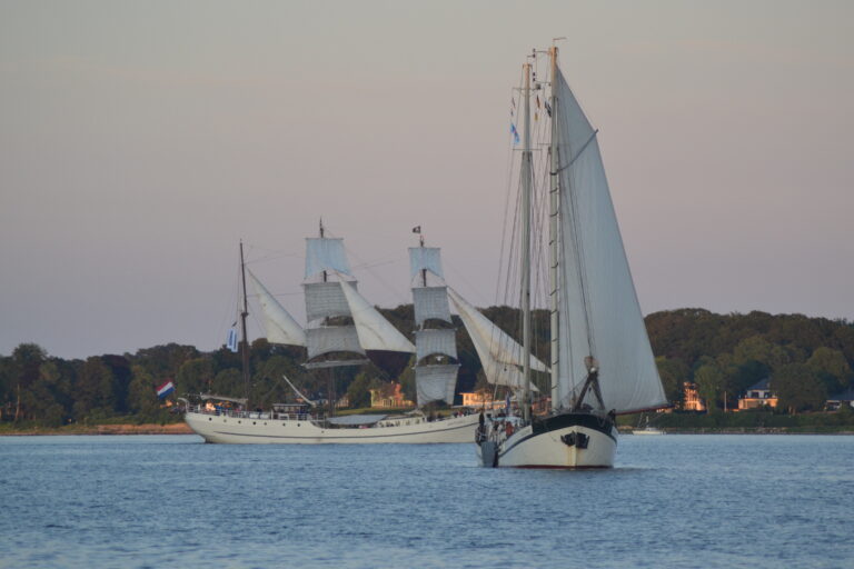 Die Elegant auf der Elbe