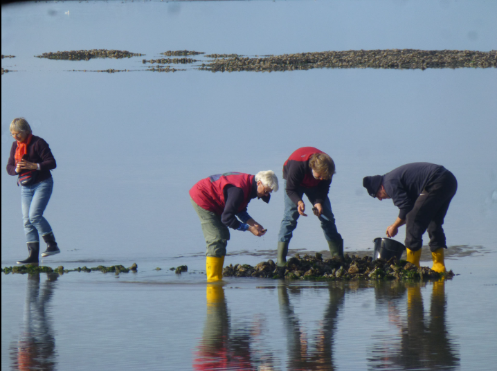 Falling dry during a sailing trip in the Wadden Sea