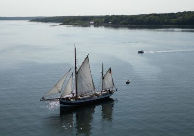 belle-amie-flensburg De Belle Amie zeilend in de Flensburger Fjord