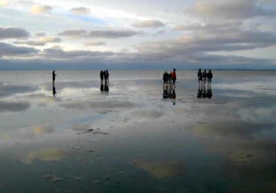 nil-desperandum-wad Gasten lopen op een zandbank tijdens het droogvallen