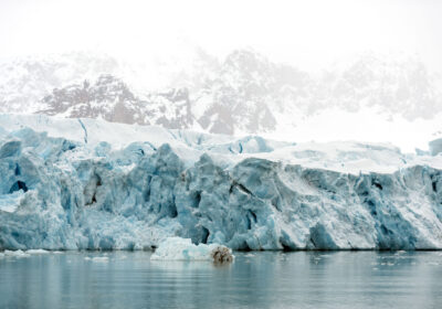Svalbard - 14 Juli Bukta