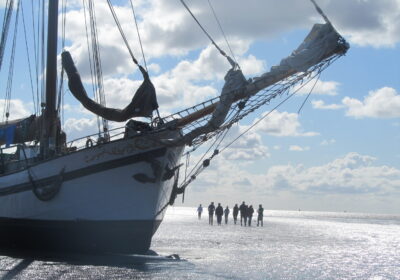 zevenwouden-wad Zeilvakantie Waddenzee