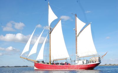 Mitsegeln mit dem Traditionsschiff Ryvar
