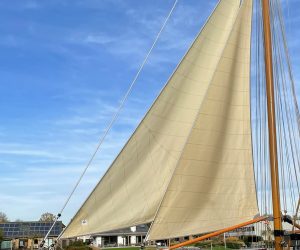 quadra-eerste-zeilen