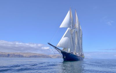 Tallship Blue Clipper