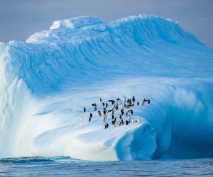 Unieke poolervaring tijdens een zeilexpeditie in Antarctica met ongerepte natuur