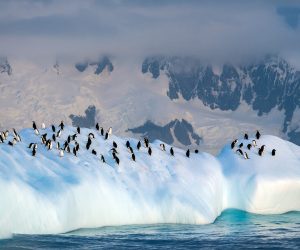 Zeilreis naar Antarctica tussen ijsbergen en gletsjers in een ongerept poollandschap
