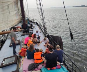 afbeelding-3_processed