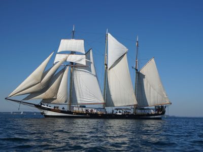 Swaensborgh - 2